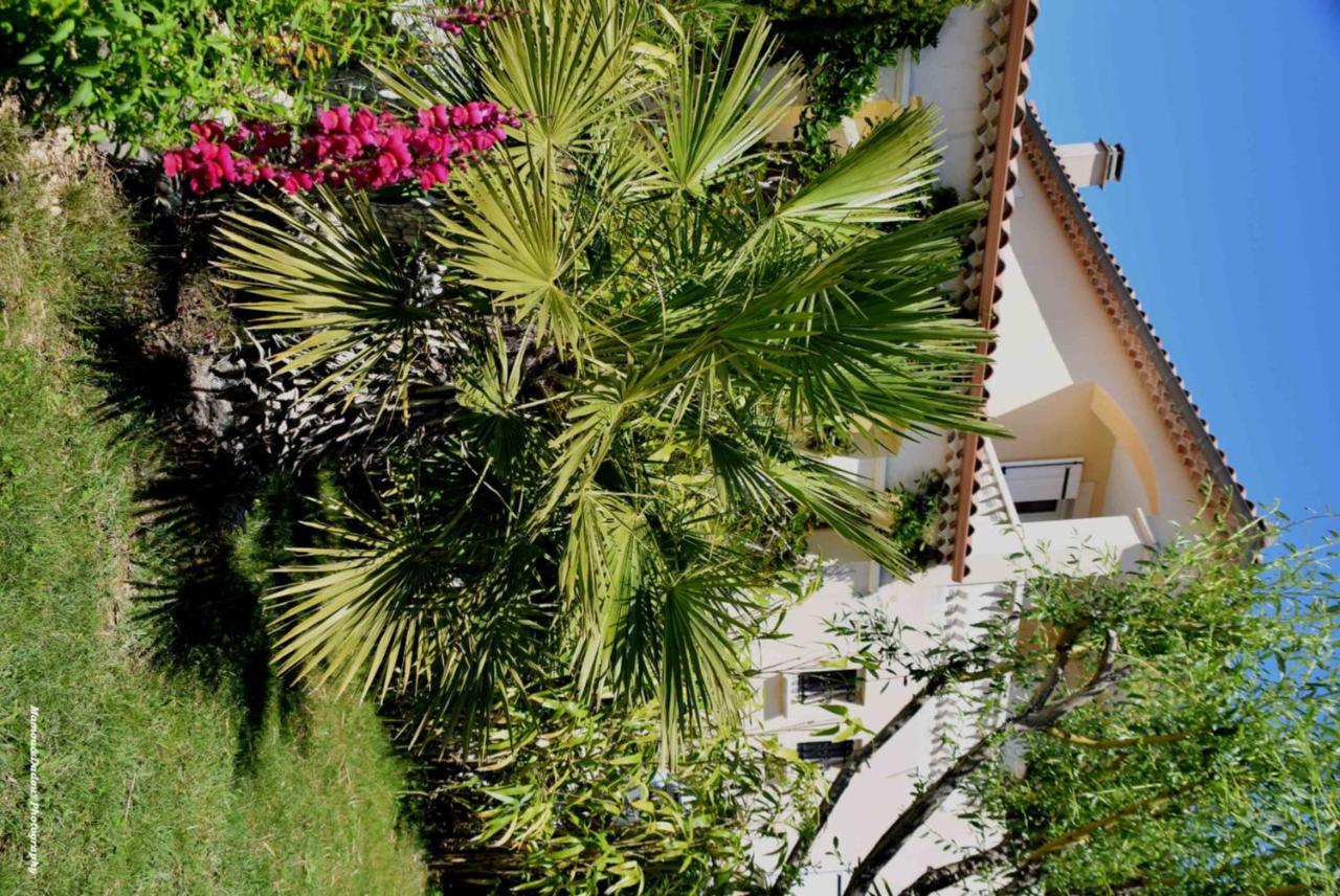 Chez Mamou & Dadou Apartment Monteux Exterior foto