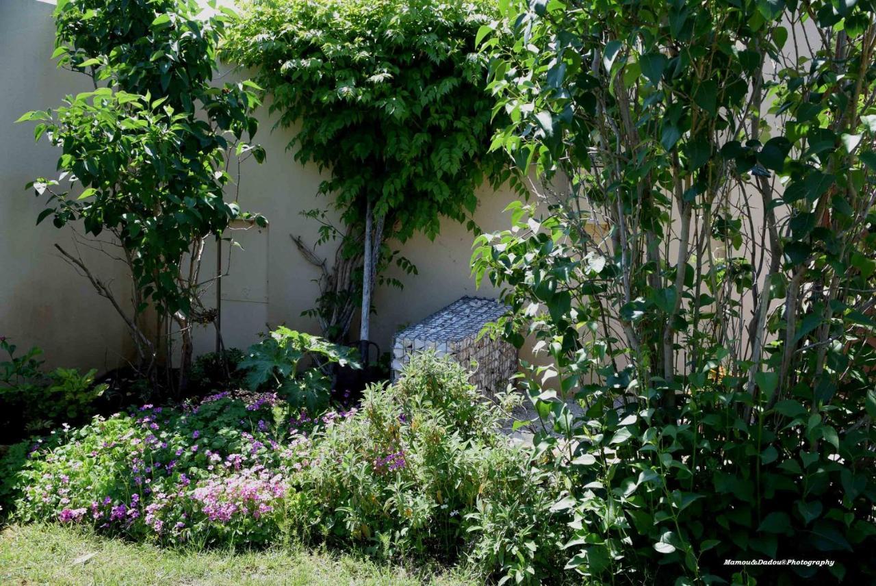 Chez Mamou & Dadou Apartment Monteux Exterior foto