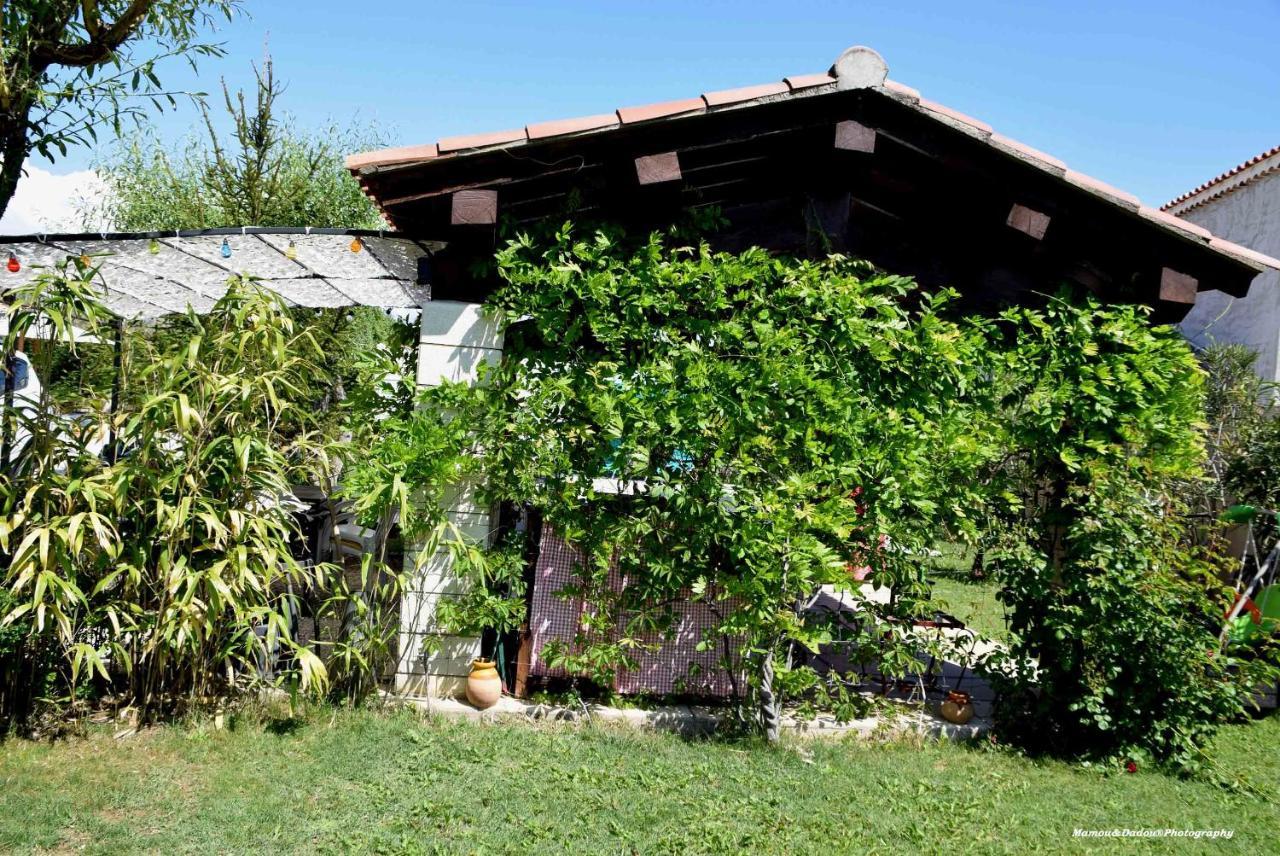 Chez Mamou & Dadou Apartment Monteux Exterior foto